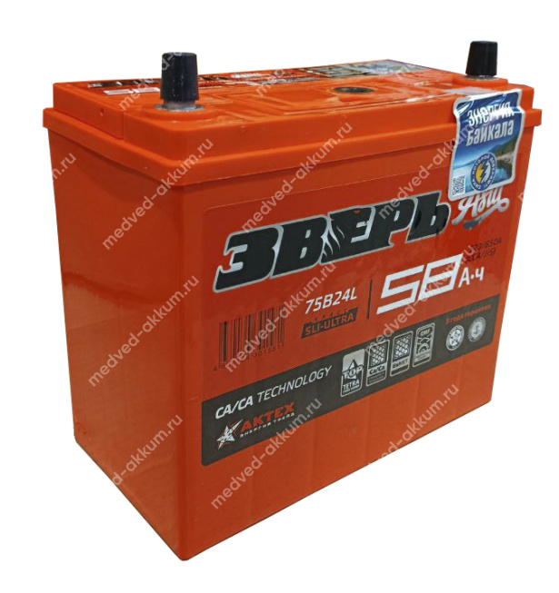 Зверь-Азия 58 Ач обр. 75B24L