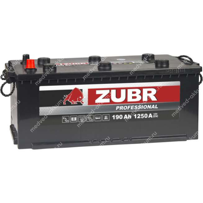 ZUBR Professional 190 Ач рос. штырь B борт