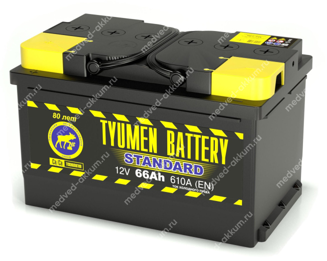 Тюмень Standard 66 Ач пр.низ. LB3